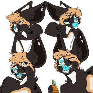 Expression Sheet 24USD